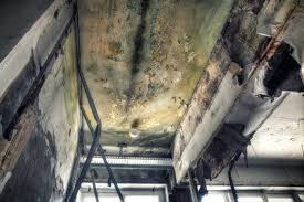 Best Industrial Mold Remediation  in University City, MO